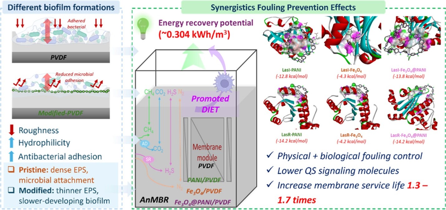 Application of membrane modification to mitigate fouling in AnMBR