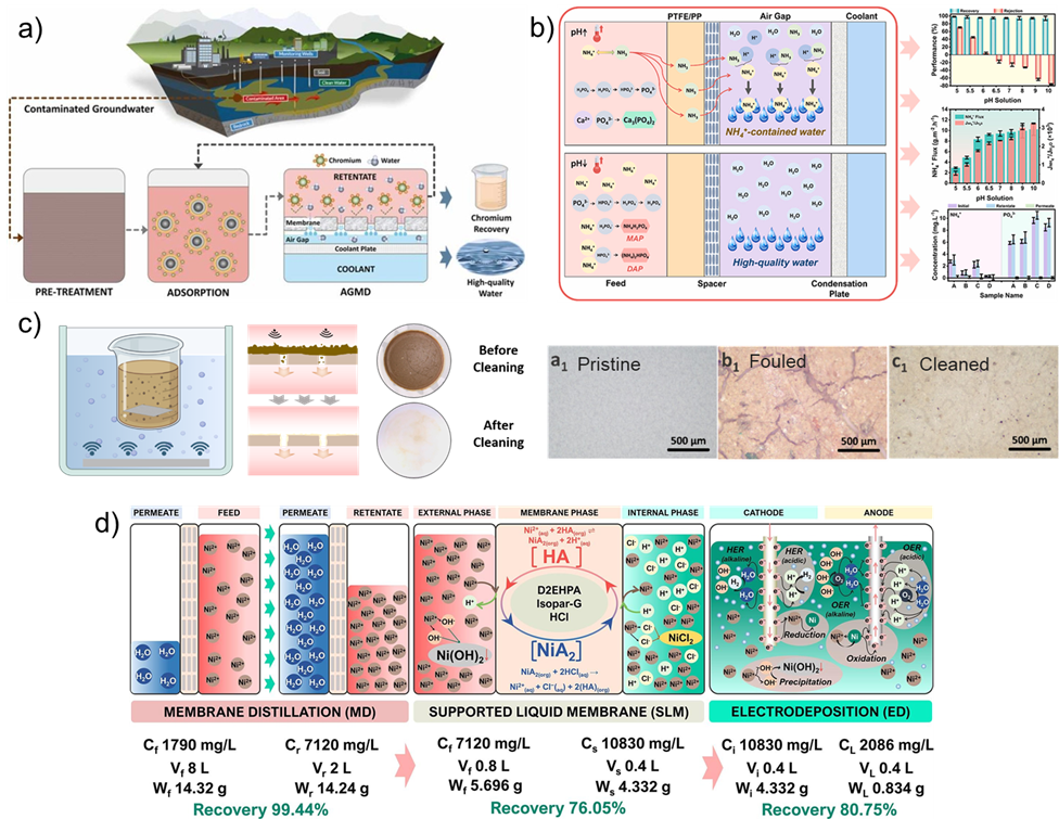 Progress on previous research on membrane distillation application. Ni recovery using integrated membrane distillation (MD), supported liquid membrane (SLM), and electrodeposition (ED) processes (a). Hybrid MF-MD processes are explored to purify high Cr-concentration from contaminated groundwater (c). Air gap membrane distillation is applied for water and nutrient recovery (b). Ni recovery using integrated membrane distillation (MD), supported liquid membrane (SLM), and electrodeposition (ED) processes (d).